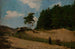 Paesaggio - Kazimierz Alchimowicz — vista dell’opera