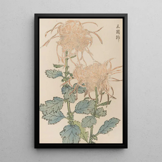 Keika Hasegawa - Keika hyakugiku Pl02.webp
