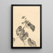 Branche de bégonia en fleurs - Kono Bairei — quadro incorniciato alla parete