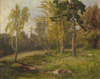 Paesaggio boschivo - Konrad Petrides — vista dell’opera