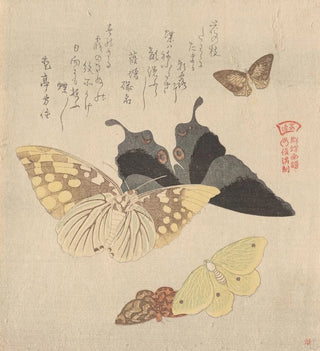 Il manuale di pittura della nuvola di farfalle Guncho Gafu 4 - Kubo Shunman