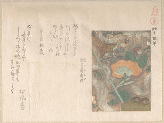 Disegni di pelli importate - Kubo Shunman — vista dell’opera