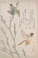 Martins-pêcheurs et saules - Kubo Shunman — vista dell’opera
