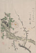 Roses et fleurs de prunier - Kubo Shunman — vista dell’opera