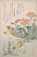 Alouettes e primule - Kubo Shunman — vista dell’opera