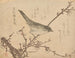 Fauvette sur une branche de prunier - Kubo Shunman — vista dell’opera