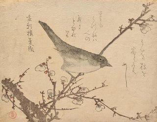 Kubo Shunman - Warbler on plum branch.webp