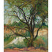 Riproduzione del dipinto L'Arbre - Suzanne Valadon
