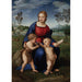 Riproduzione del dipinto La Madone del Cardellino - Raffaello