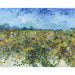 Riproduzione del dipinto La vigna verde - Vincent Van Gogh