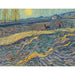 Riproduzione del dipinto Contadino in un campo - Vincent van Gogh