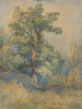 Schizzo di un albero - Ladislav Mednyánszky — vista dell’opera