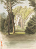 Alberi in un parco - Ladislav Mednyánszky — vista dell’opera