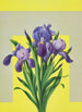 Iris - Lafayette F. Cargill — vista dell’opera