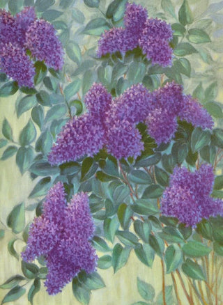 Lafayette F Cargill - Purple Lilac.webp