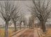 Una strada vicino a Vindern, Zealand - Laurits Andersen Ring — vista dell’opera
