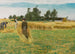 Tempo di raccolta a Ladby - Laurits Andersen Ring — vista dell’opera