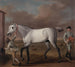 Il Duca di Hamilton e il suo cavallo da corsa grigio vittorioso a Newmarket - John Wootton — vista dell’opera