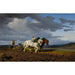 Riproduzione del dipinto Le Labourage - Rosa Bonheur