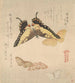 Il manual di pittura di Flock of Butterflies Guncho Gafu 3 - Kubo Shunman — vista dell’opera