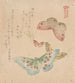Il manual di pittura di Flock of Butterflies Guncho Gafu - Kubo Shunman — vista dell’opera