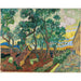 Riproduzione del dipinto Il giardino dell'ospedale Saint-Paul - Vincent van Gogh