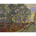 Riproduzione del dipinto Il giardino dell'ospedale Saint-Paul - Vincent van Gogh