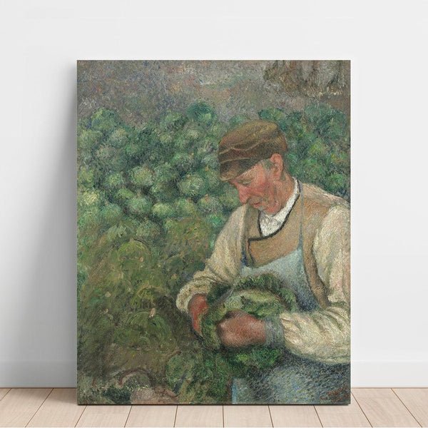 Riproduzione del dipinto Il giardiniere - Vecchio contadino con cavolo - Camille Pissarro