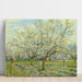 Riproduzione del dipinto Il frutteto bianco - Vincent van Gogh