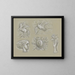Conceptions pour un filigrane de billet de banque: Pégase, colombe, tête de femme, blason et main avec rose - Leo Gestel — quadro incorniciato alla parete