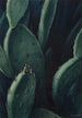 Émeraudes cactus - Leon Carroll — vista dell’opera
