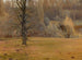 Fragment de parc - Leon Szpydrowski — vista dell’opera