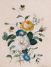 Insieme di fiori - Leopold Zinggler — vista dell’opera