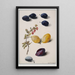 Frutta - Leopold Zinngger — quadro incorniciato alla parete