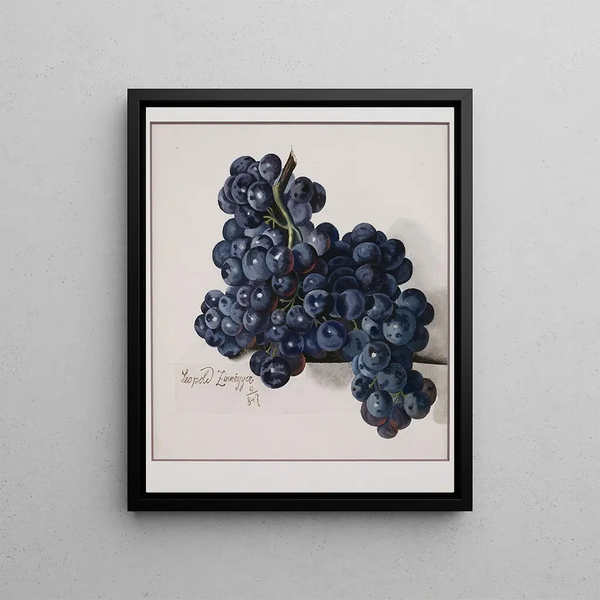 Leopold Zinngger - Grapes.webp