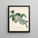 Ringlottenzweig - Leopold Zinggler — quadro incorniciato alla parete
