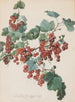 Rote Ribisel - Leopold Zinggler — vista dell’opera