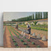 Riproduzione del dipinto I Giardinieri - Gustave Caillebotte
