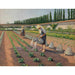 Riproduzione del dipinto I Giardinieri - Gustave Caillebotte