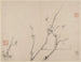 Album di prunus in fiore - Li Fangying — vista dell’opera