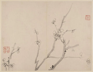 Album di prunus in fiore - Li Fangying — vista dell’opera