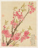 Fleurs Pl. 01 - Liang Yuwei — vista dell’opera
