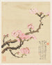 Fleurs Pl. 02 - Liang Yuwei — vista dell’opera