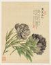 Fleurs Pl. 03 - Liang Yuwei — vista dell’opera