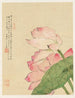 Fleurs Pl. 04 - Liang Yuwei — vista dell’opera