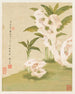 Fleurs Pl. 06 - Liang Yuwei — vista dell’opera