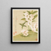 Fleurs Pl. 06 - Liang Yuwei — quadro incorniciato alla parete