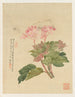 Fleurs Pl09 - Liang Yuwei — vista dell’opera