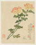 Fleurs Pl10 - Liang Yuwei — vista dell’opera