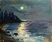 La mia notte al chiaro di luna - Lilly Walther — vista dell’opera